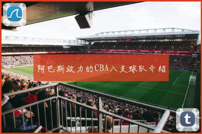 阿巴斯效力的CBA八支球队介绍