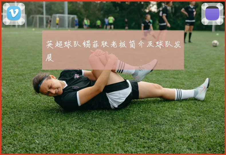英超球队锡菲联老板简介及球队发展