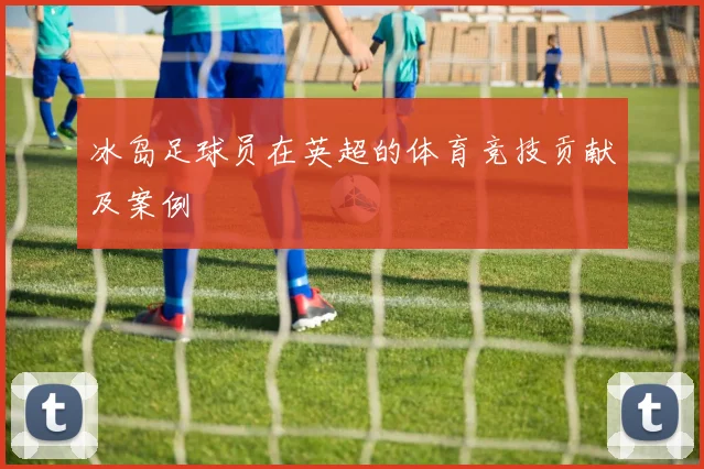 冰岛足球员在英超的体育竞技贡献及案例