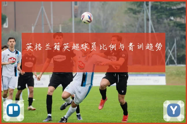 英格兰籍英超球员比例与青训趋势