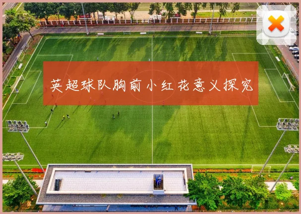 英超球队胸前小红花意义探究