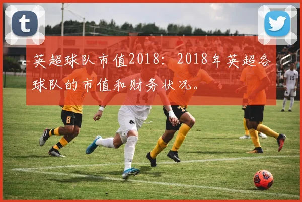 英超球队市值2018：2018年英超各球队的市值和财务状况。
