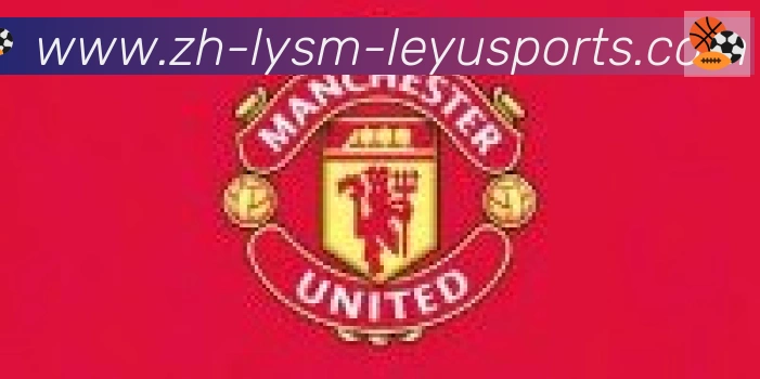 乐鱼体育入口合作伙伴